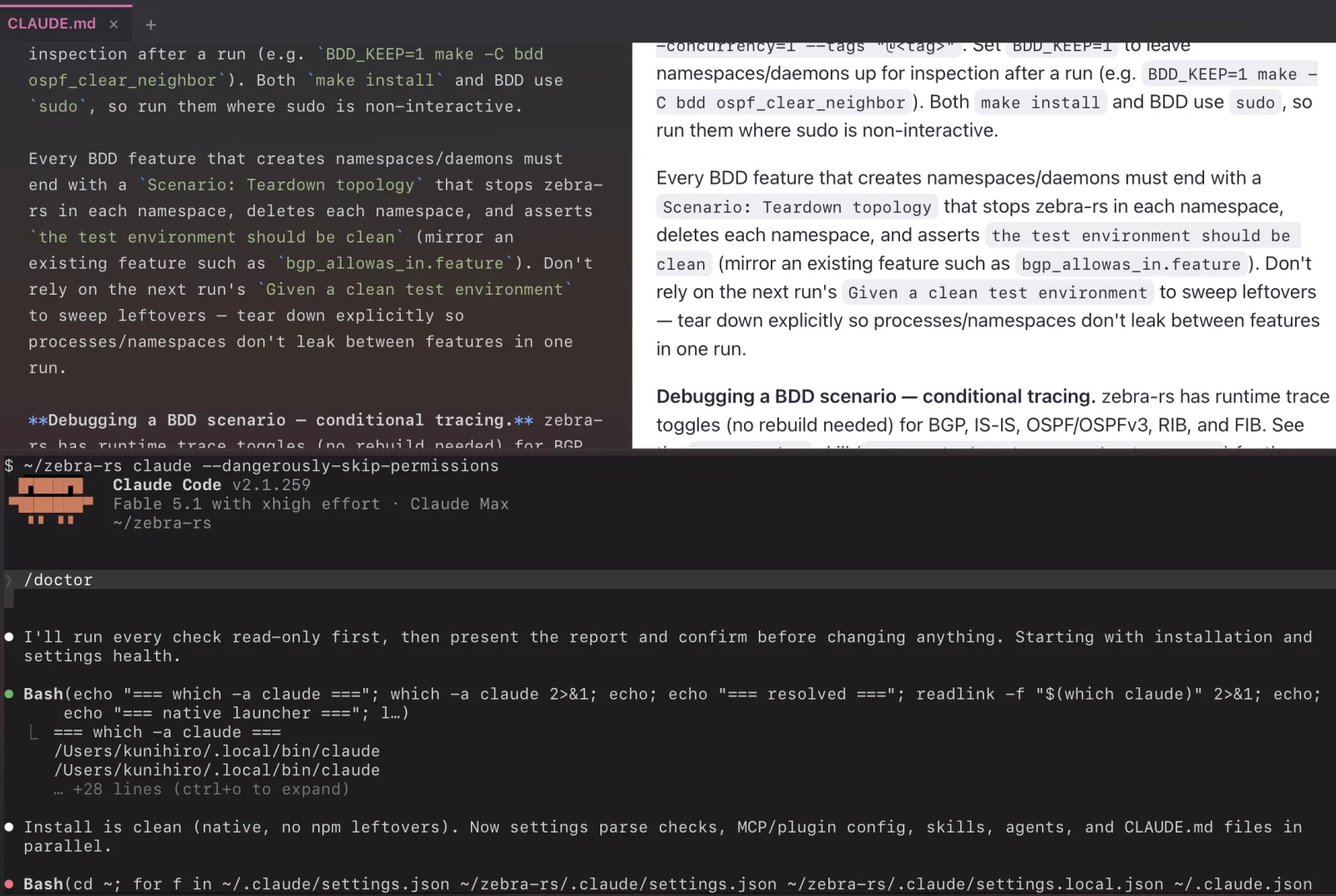 The terminal panel below the editor and preview, running Claude Code in the workspace: the /doctor command has started its checks.