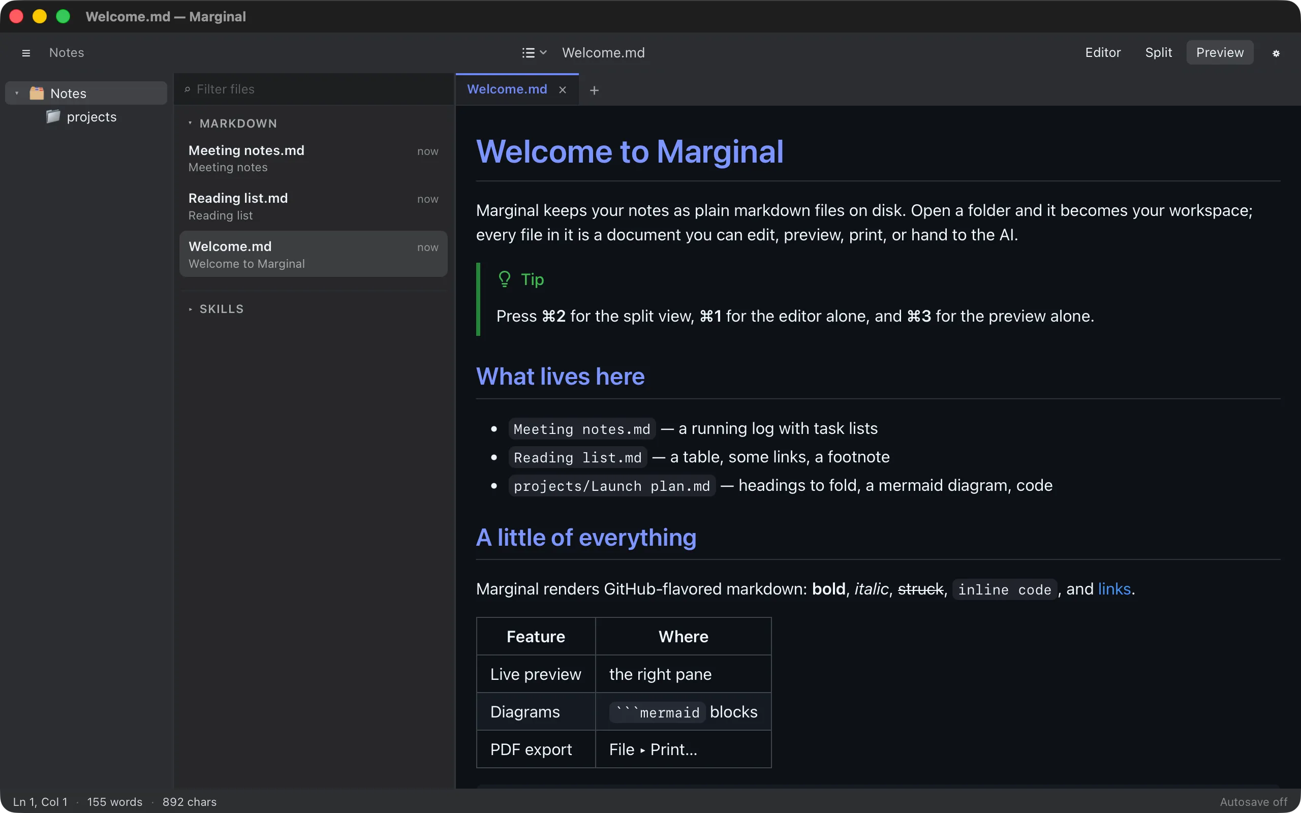 The preview alone, showing a rendered document with a tip callout, a list, and a table