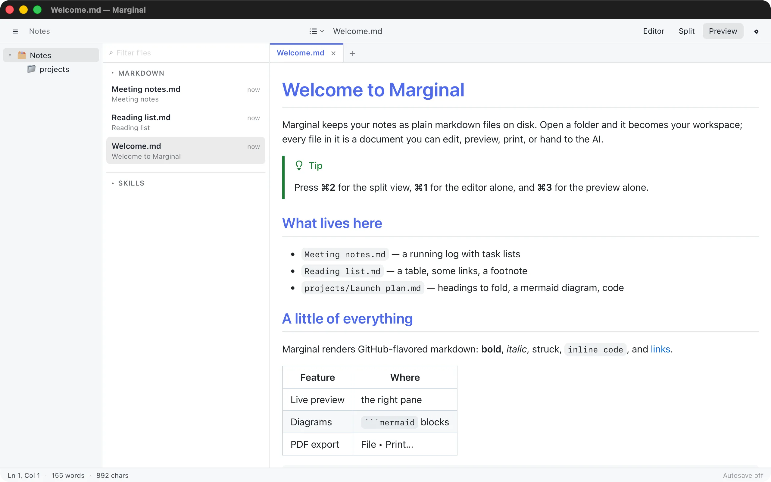 The preview alone, showing a rendered document with a tip callout, a list, and a table