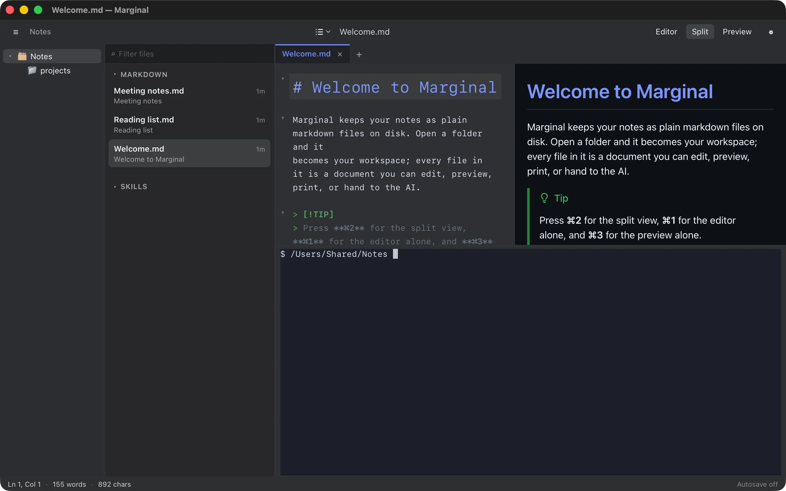 A terminal panel below the editor and preview, with a shell prompt in the workspace folder