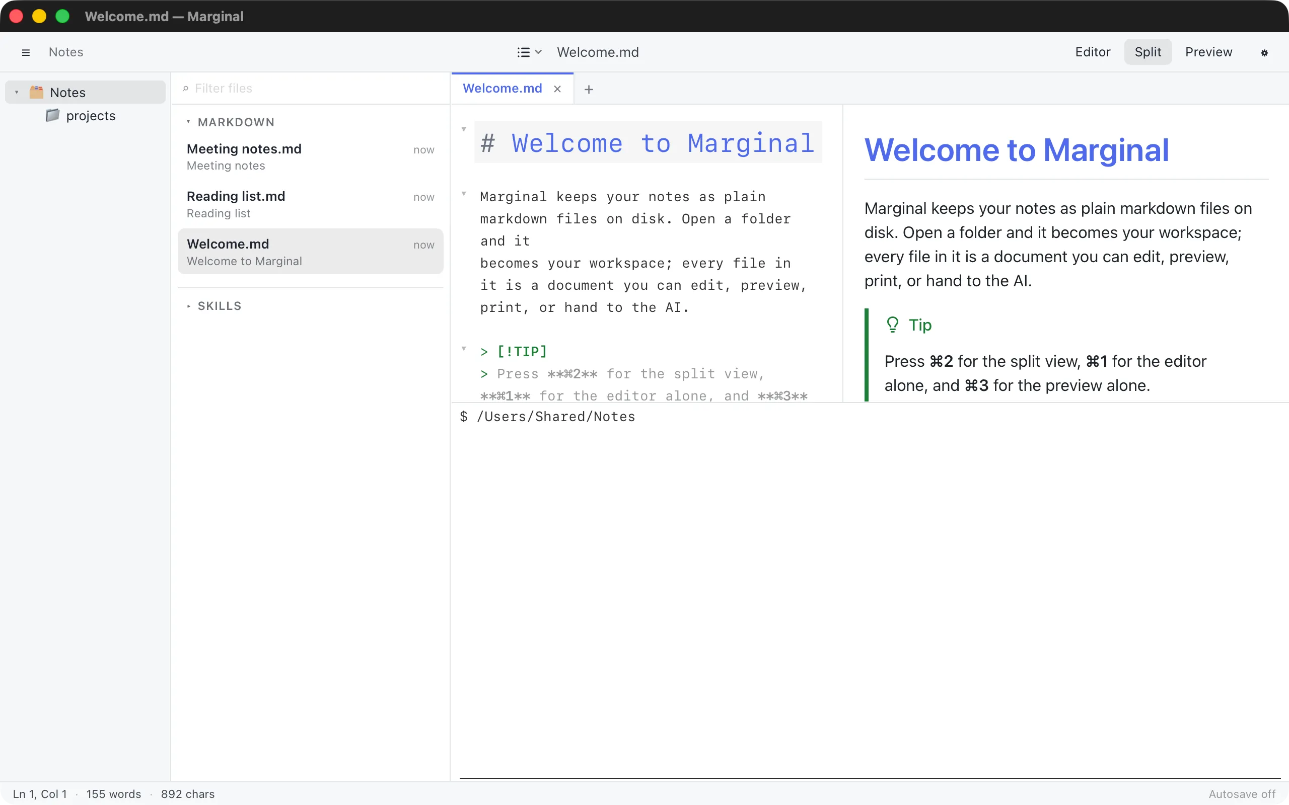 A terminal panel below the editor and preview, with a shell prompt in the workspace folder